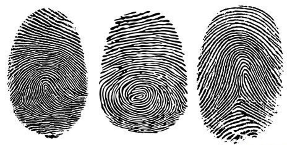 Smart Mumbai finger print bureau wins first prize for its investigation in Sakinaka rape case - Vimarsana News