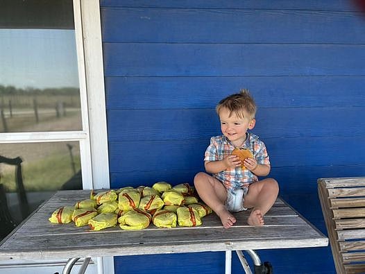 Toddler orders 31 McDonald's cheeseburgers from mother's phone - Vimarsana News