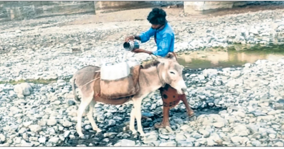 Women walk 3 km in heat to fetch drinking water