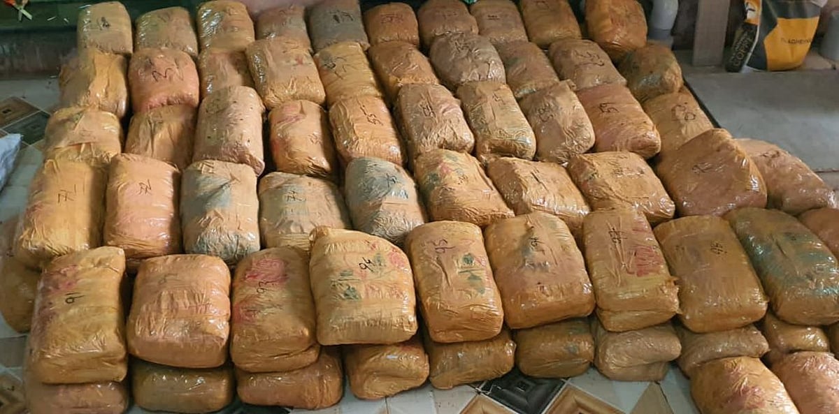 Neemuch: over two quintals of cannabis seized - Vimarsana News
