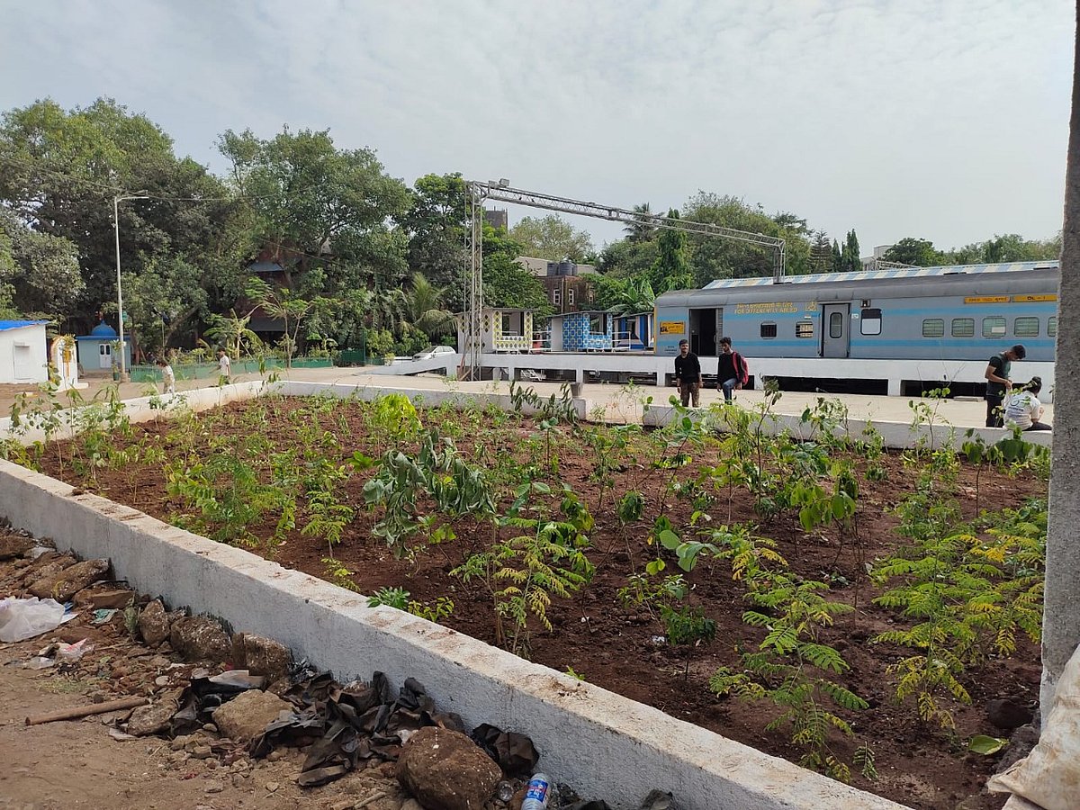 Central Railway’s Butterfly Garden at Wadi Bunder