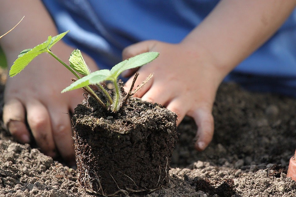 Navi Mumbai: NGO to conduct number of activities on World Environment Day - Vimarsana News