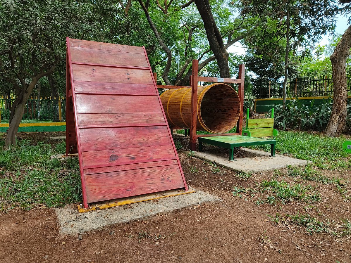 Good news for pet lovers! Navi Mumbai gets its first dedicated dog park in Vashi, see pics - Vimarsana News
