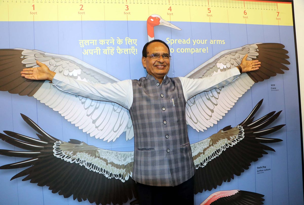 World Environment Day: Narmada banks were full of greenery during my childhood - Vimarsana News