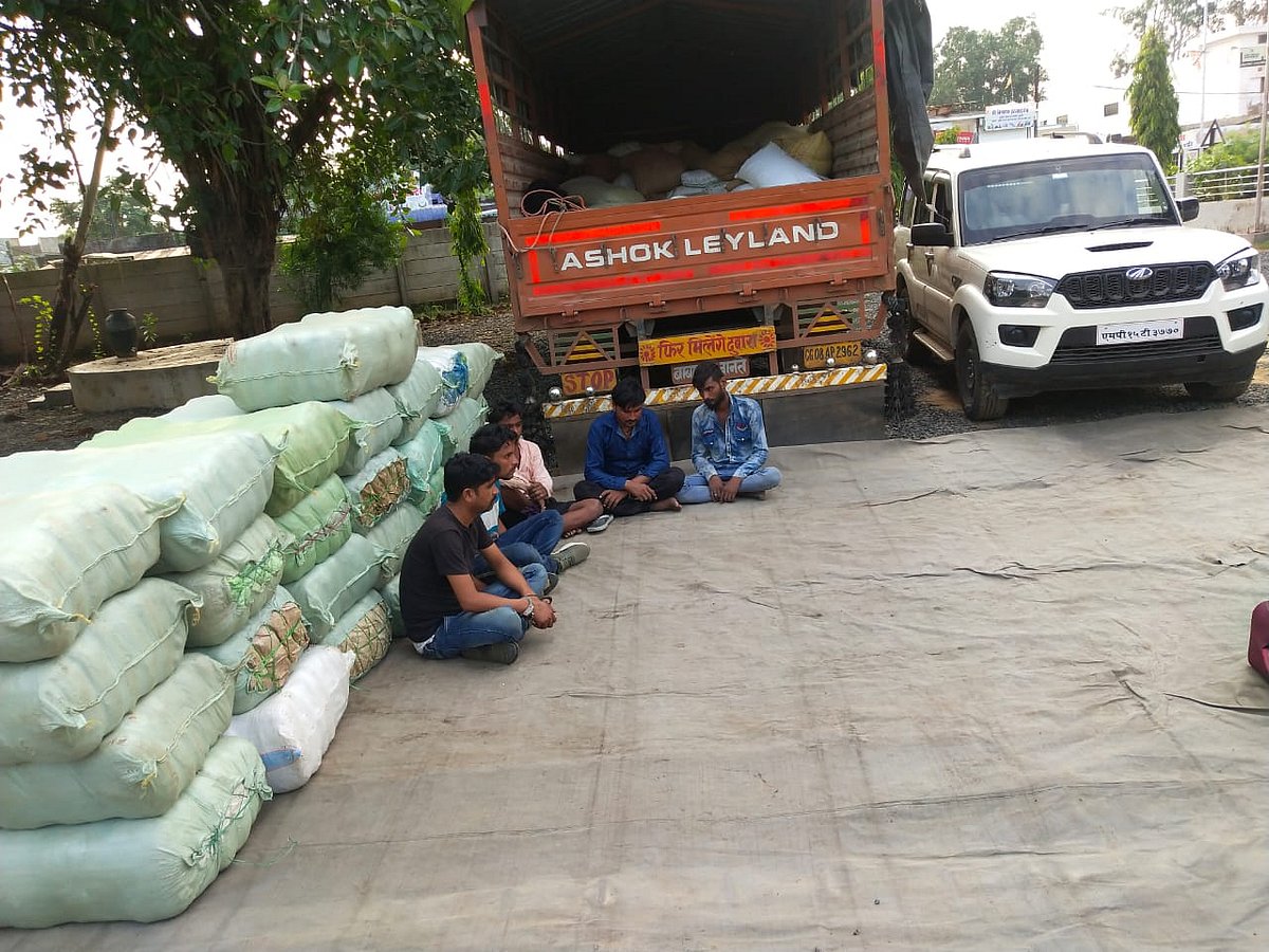 Indore: NCB nabbed five men with cannabis worth Rs 1.32 cr - Vimarsana News