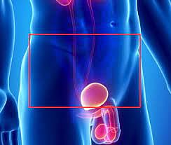 China man thought he had urinary issues; learns he has ovaries, uterus - Vimarsana News