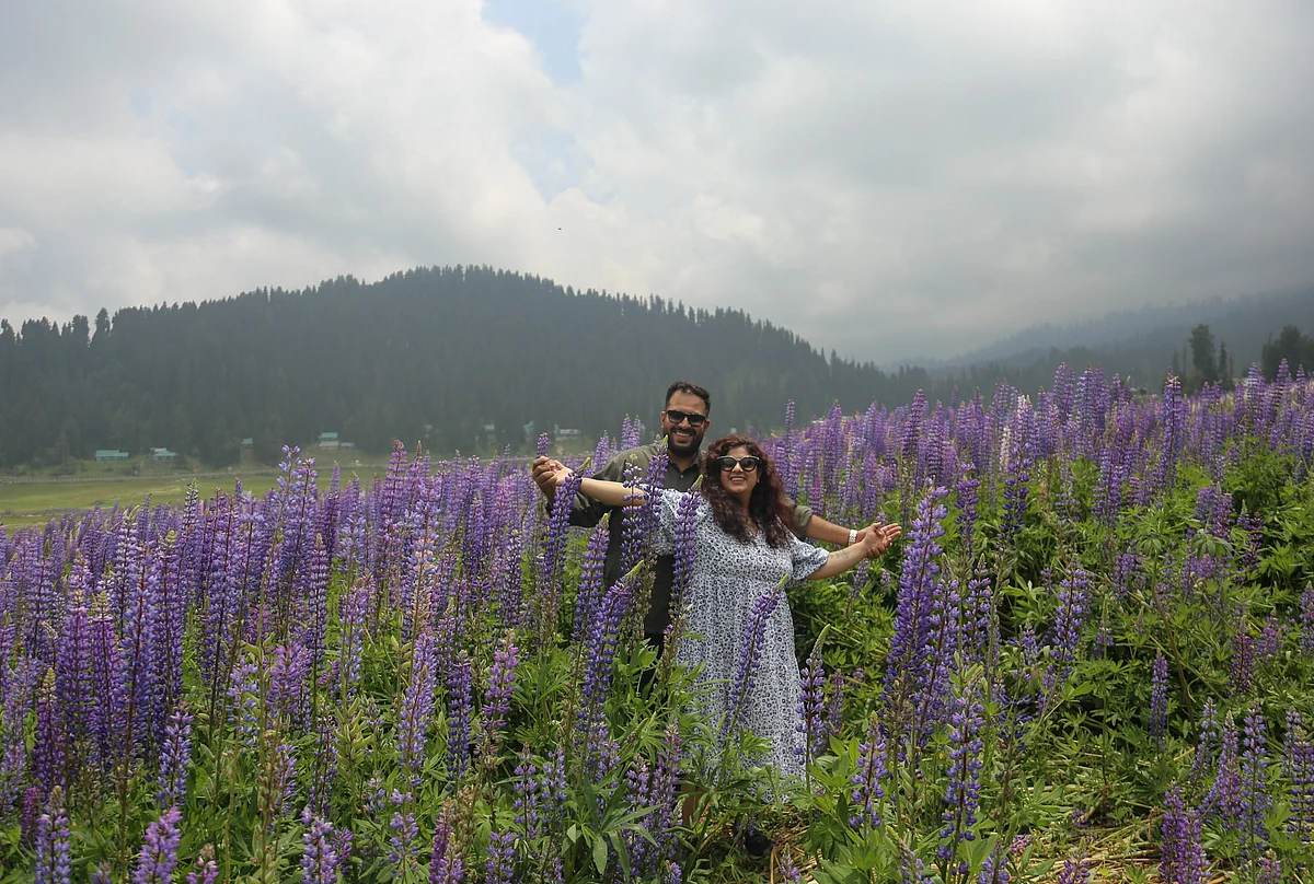 Couple pose in front of the lavender flowers in the meadows of world famous ski resort Gulmarg