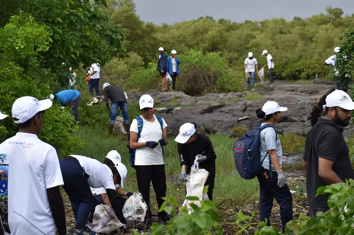 Navi Mumbai: 'Environment Life Foundation' cleans 100 tons of waste from mangroves in 100 weeks under clean-up drive - Vimarsana News