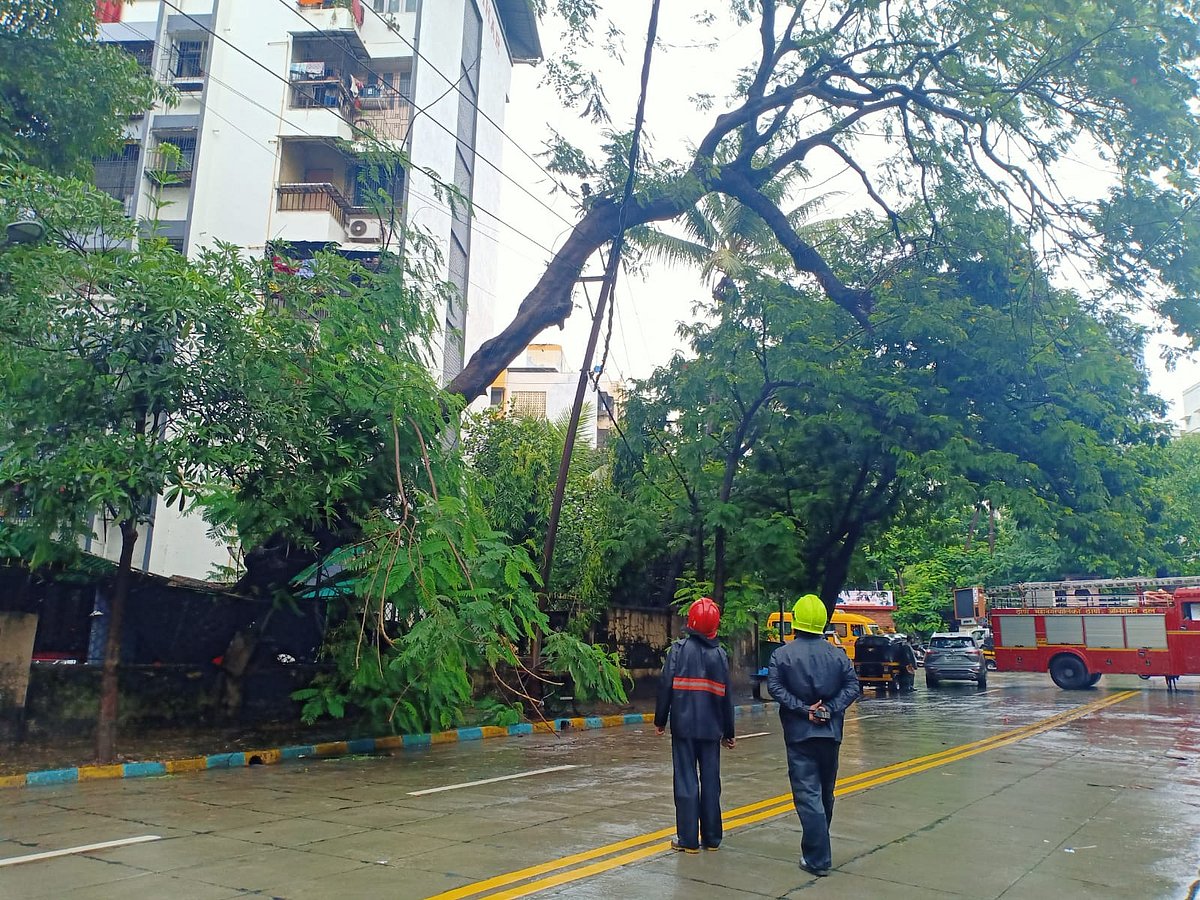 Gulmohar tree falls on MSEDCL high tension wire in Thane, no casualty reported - Vimarsana News
