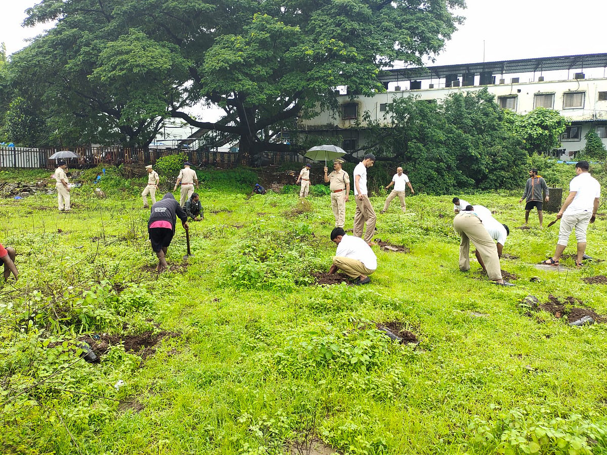 Central Railway Mumbai Division carries out 'tree plantation drive' - Vimarsana News