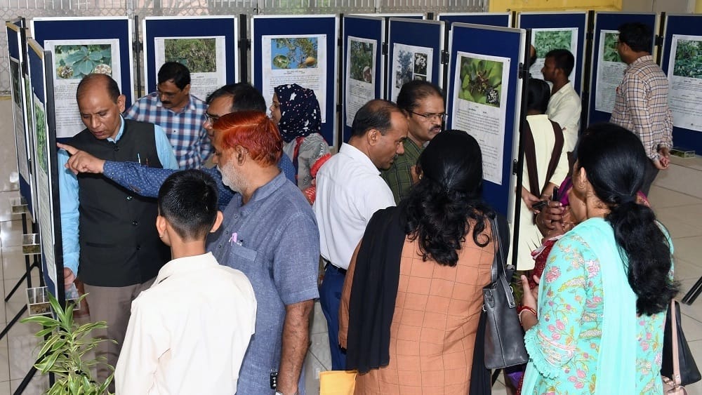 Bhopal 34 medicinal plants and products displayed at Regional Museum