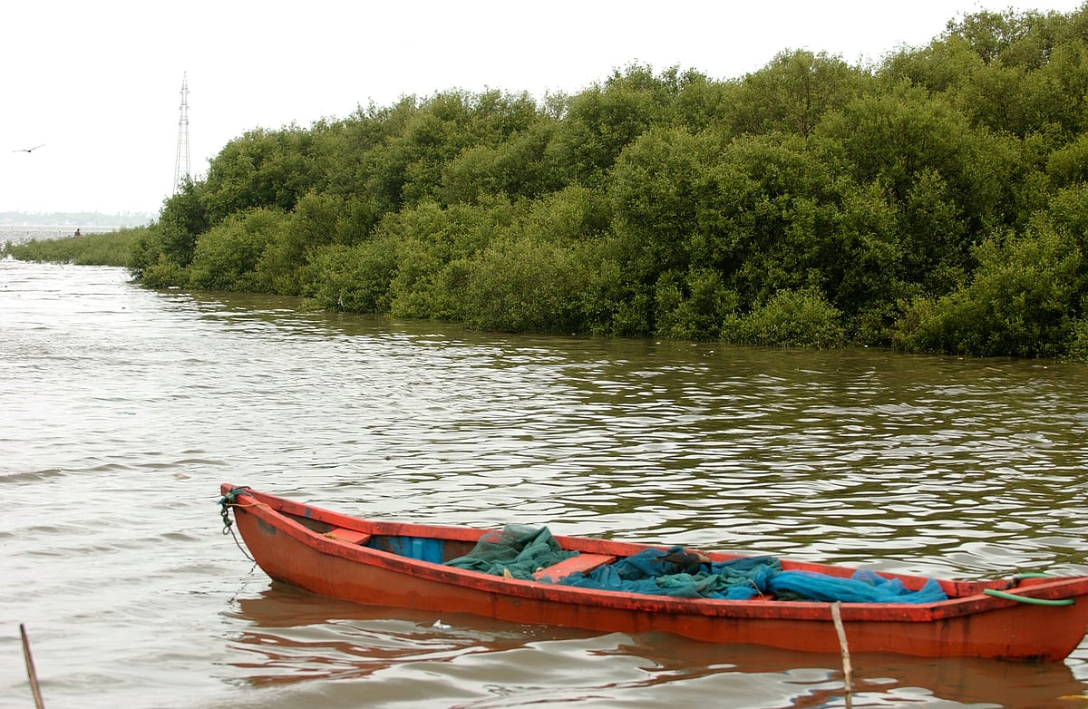 Navi Mumbai: Mega mangrove clean-up at Karave Jetty - Vimarsana News