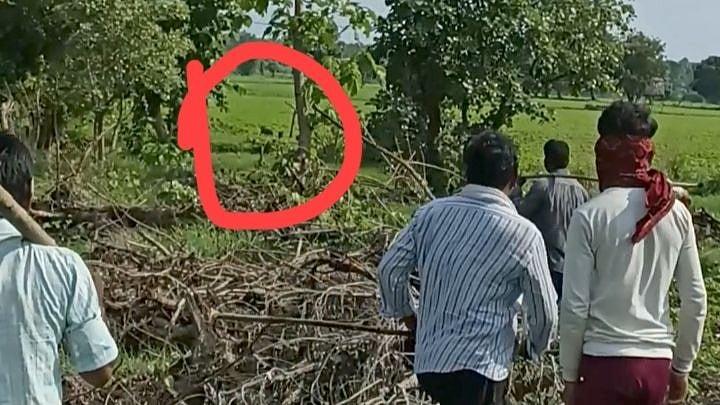 Ashta: Leopard attacks two villagers, farmers panic - Vimarsana News