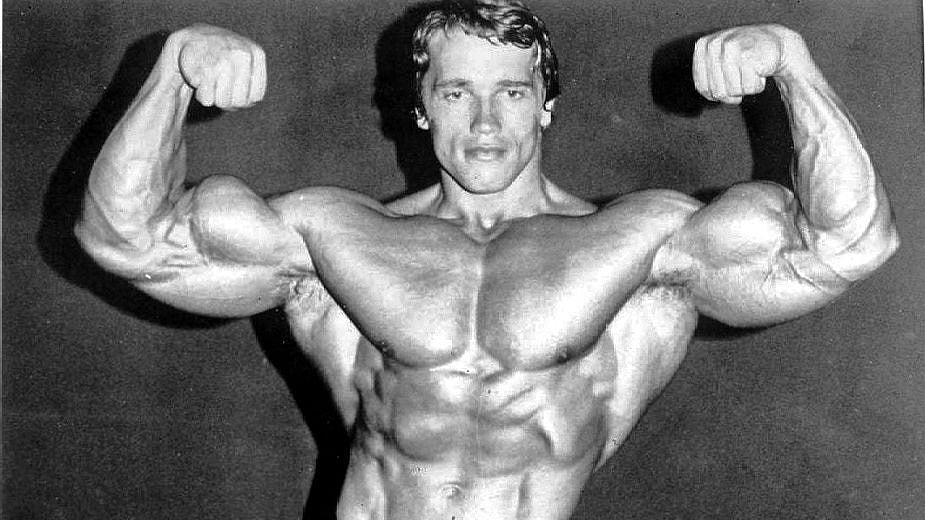 Arnold Schwarzenegger Birthday Special: 5 unconventional films of the action hero - Vimarsana News