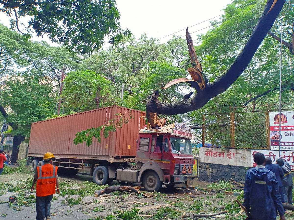 Thane: Container damaged due to tree fall, no casualties reported - Vimarsana News