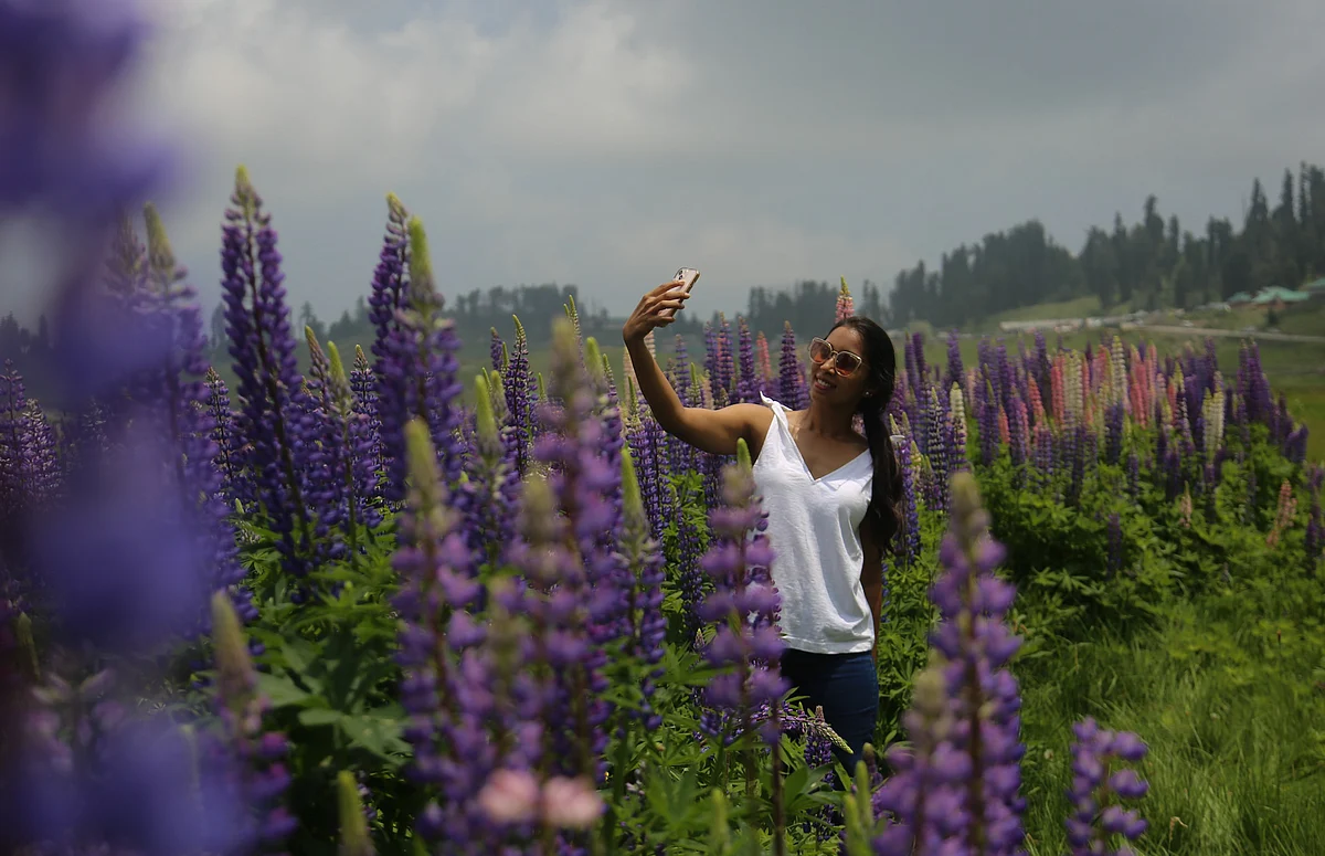Girl take their selfie amid lavender flowers in the meadows of World Famous Ski resort Gulmarg