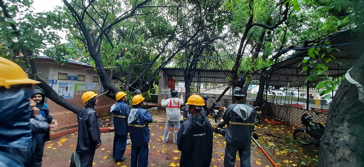 Thane: Rains lash city, trees fall at 19 places