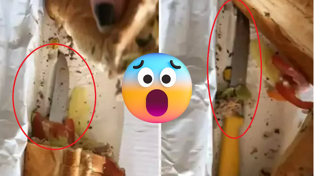 Wait, what? 21-year-old pregnant woman served stuffed 'knife' in Subway sandwich at England - Vimarsana News