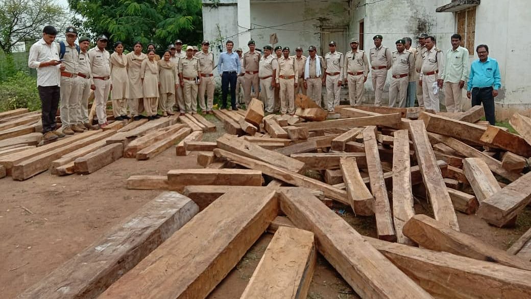 Sendhwa: Teakwood logs worth more than Rs 40 Lakh recovered, 1 arrested - Vimarsana News