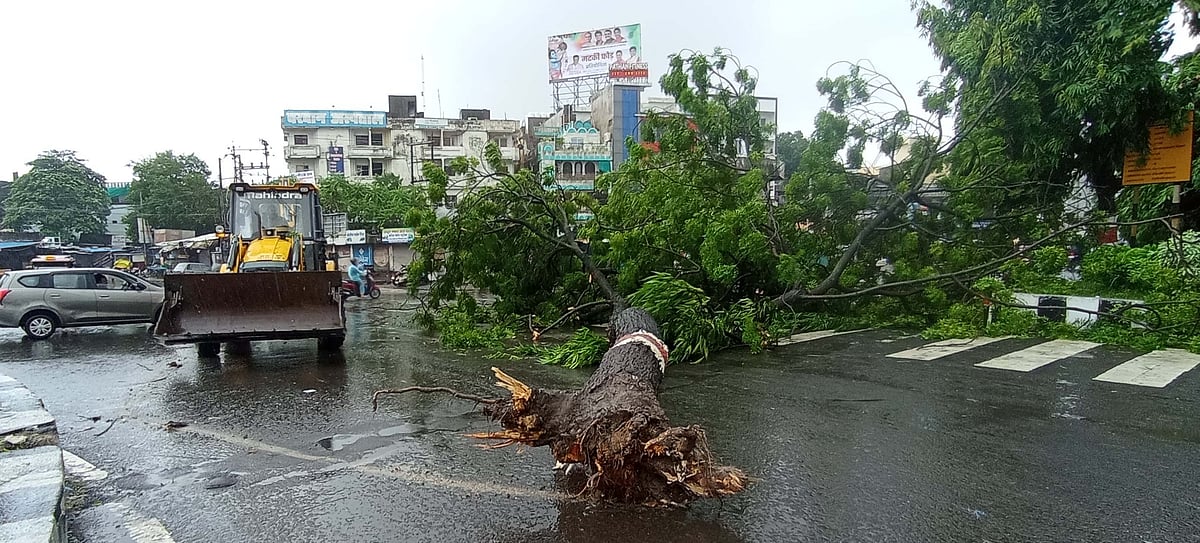 Blackout in more than half of Bhopal following rains - Vimarsana News