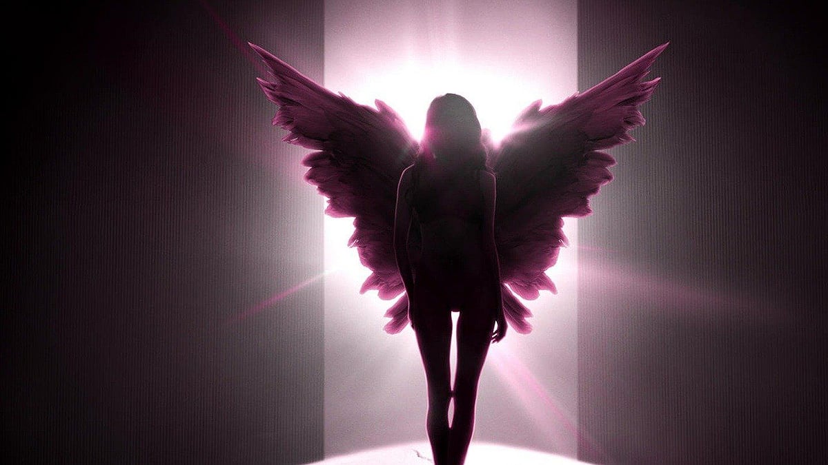 Victoria's Secret: Angels and Demons Review: Frederique van der Wal's docuseries is persuasive but far from taut - Vimarsana News