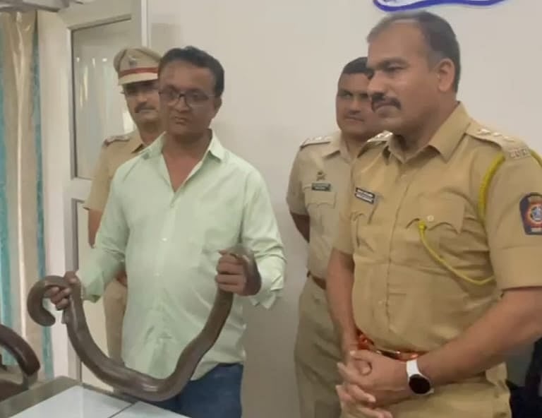 5 in possession of sand boa snakes worth Rs 70 lakh arrested in Kalyan - Vimarsana News