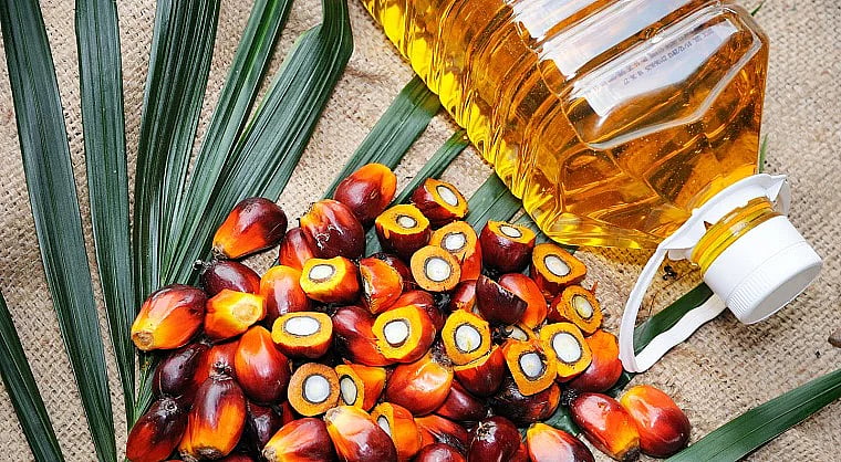 India joins Pakistan among four neighbouring countries to form alliance of palm oil importers - Vimarsana News