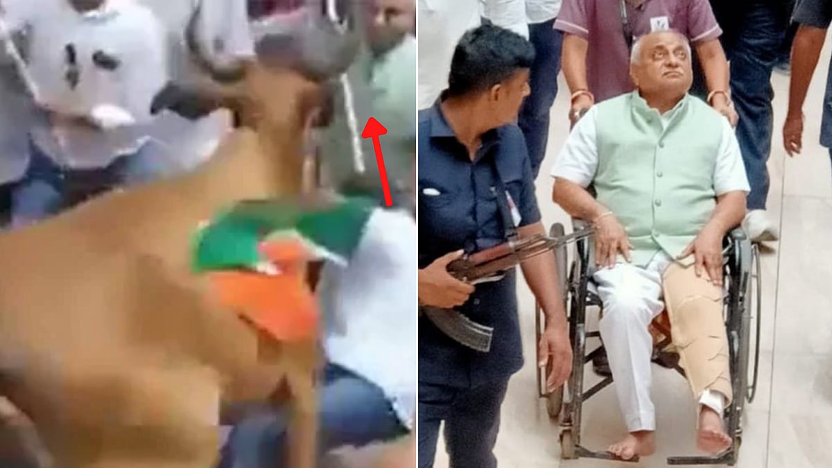 Gujarat: Former Deputy CM Nitin Patel injured by cattle during Tiranga rally - Vimarsana News