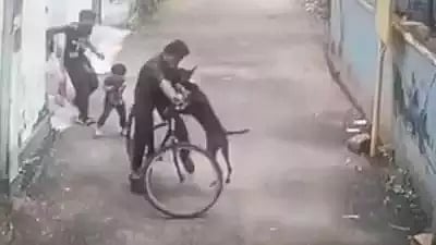 On camera: Class 7 student from Kerala's Kozhikode attacked by street dog - Vimarsana News