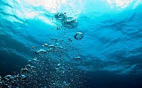 Thane: Two drowned in separate incidents - Vimarsana News