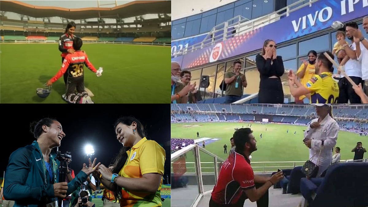 6 proposals at stadiums that instantly went viral - Check out their best moments here - Vimarsana News