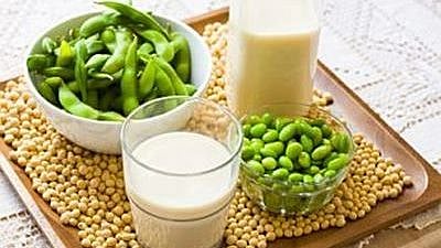 Indore: Poshan Baag; production falls far short of the target - Vimarsana News