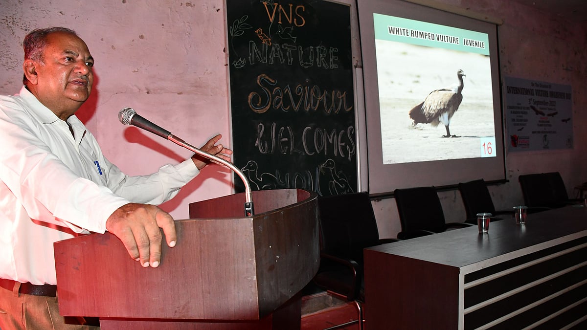 World Vulture Day: 'Declining habitat, diclofenac biggest threat to vultures' - Vimarsana News