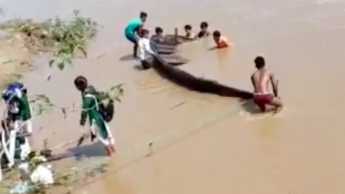 MP: Boat full of children capsized mid-river in Anupur; no casualties reported - Vimarsana News