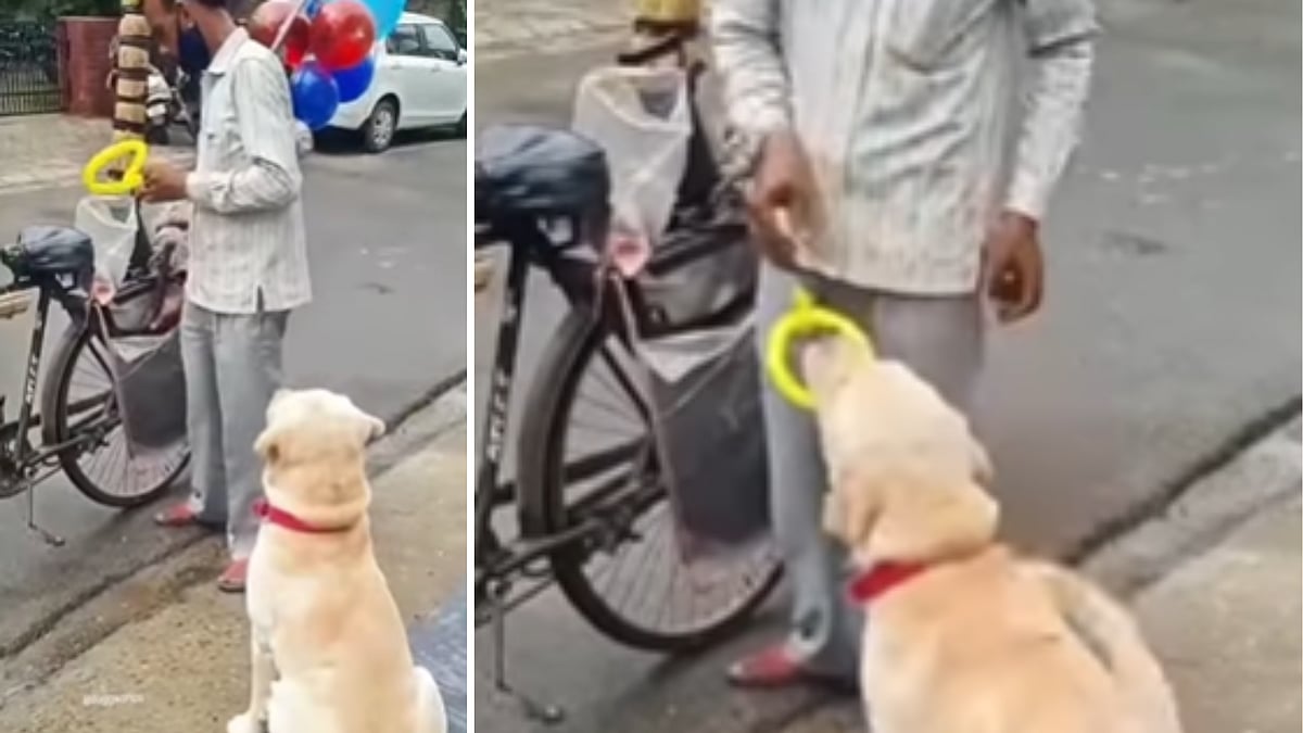 Watch: Balloon seller's kind gesture towards pet dog goes viral - Vimarsana News
