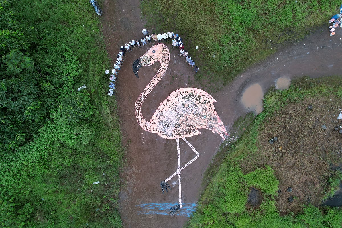 Navi Mumbai: 60 feet flamingo made from garbage collected during mangrove clean-up drive - Vimarsana News