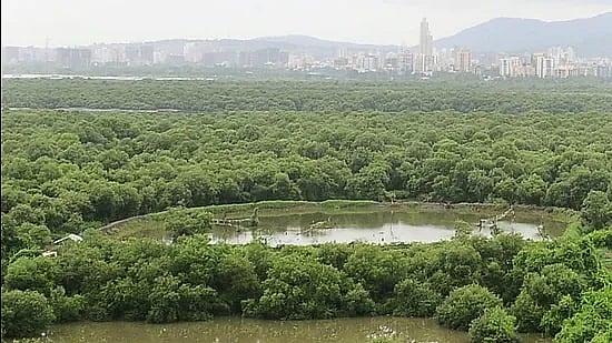 21,997 mangroves to face axe for Bullet train - Vimarsana News