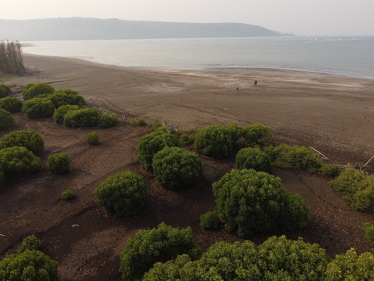 Maharashtra: Seashore spanning 55 hectares, 10 times the size of Wankhede stadium, submerged in last 3 decades - Vimarsana News