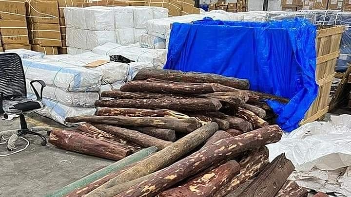 Mumbai: Red Sanders worth Rs 2.5 crore seized by Customs at Nhava Sheva - Vimarsana News