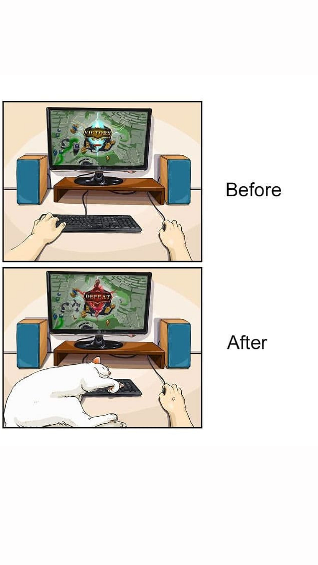 Keyboard is a new Bed