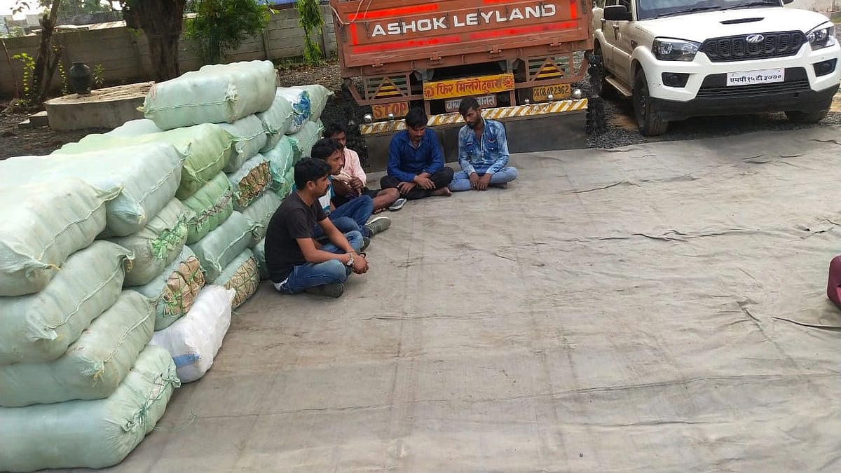 Indore: Man held with 2.30 kilograms of cannabis - Vimarsana News