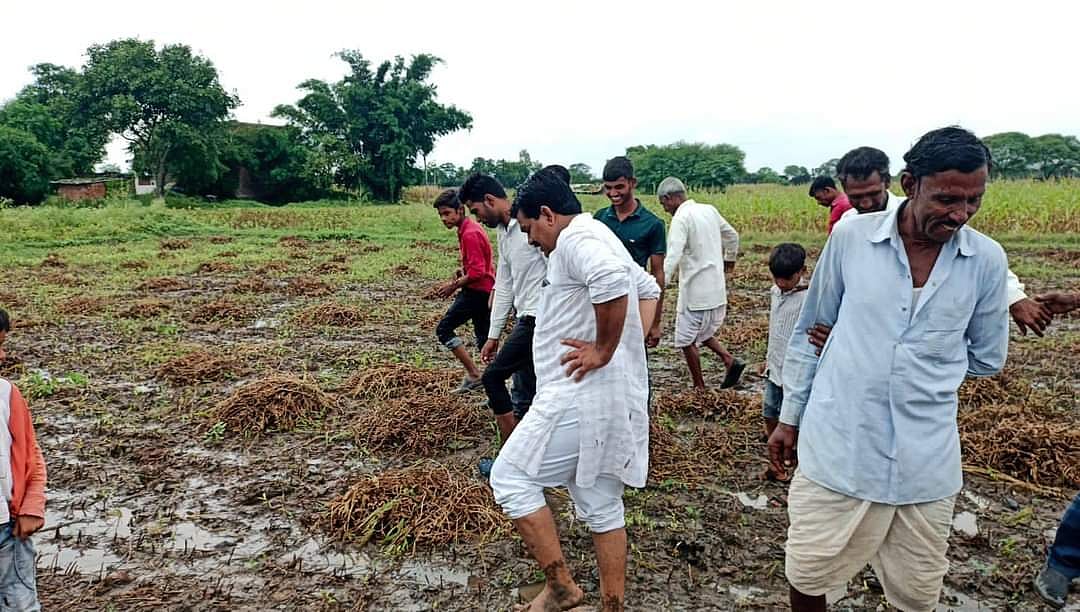 Alot: Farmers fear loss after unseasonal rain - Vimarsana News
