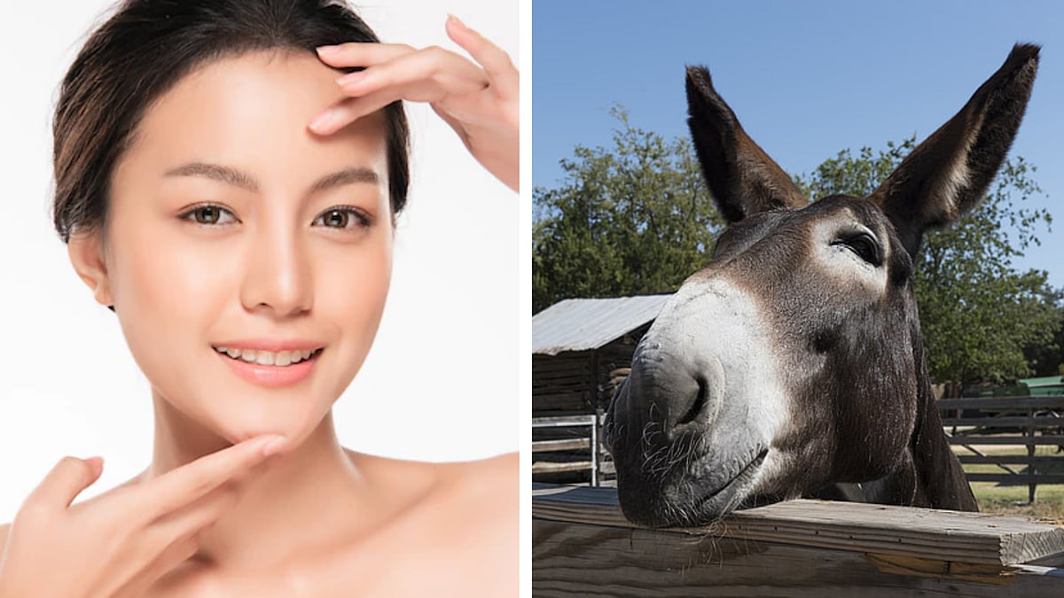 Is 'donkey milk' good for your skin?