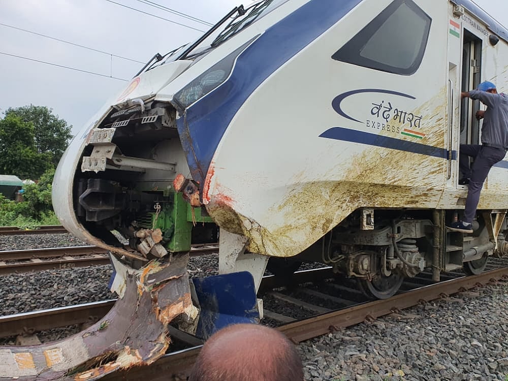 Gujarat: RPF files FIR against owners of buffaloes hit by Vande Bharat express - Vimarsana News