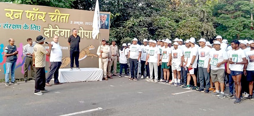 Bhopal: City runs for cheetahs - Vimarsana News