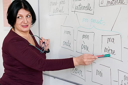 Learning European languages now handy for Indians studying abroad - Vimarsana News