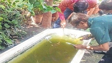Bhopal: Instruction for a spot fine if larvae is found: - Vimarsana News