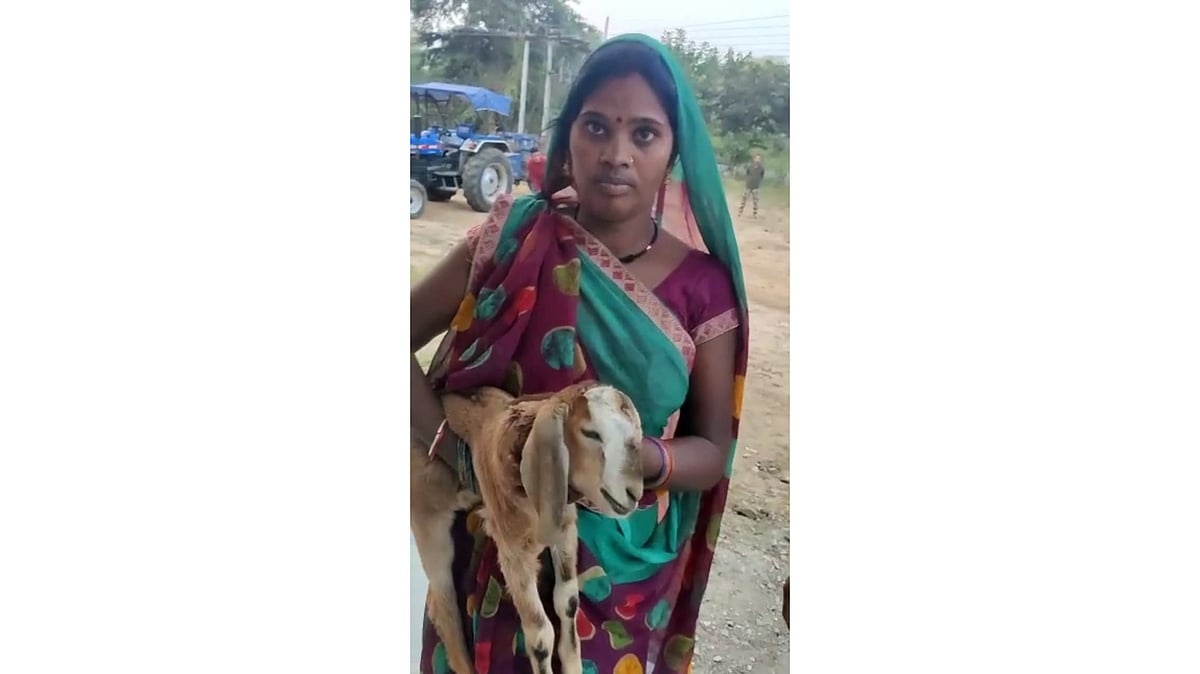 Jabalpur: Owner booked after dog bites baby goat to death - Vimarsana News