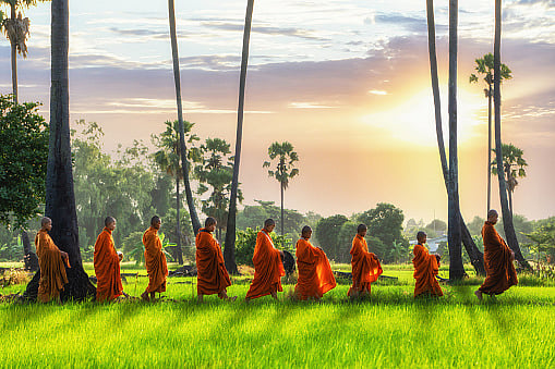 Buddhist 'monks' from Thailand temple sent to rehab after they 'fail drug test' - Vimarsana News