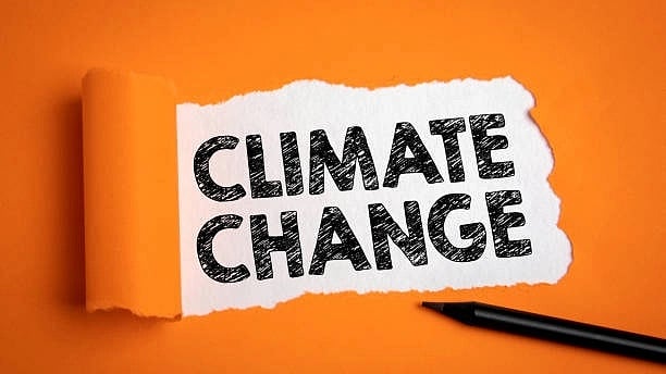 Madhya Pradesh: 20 forest divisions of 17 districts vulnerable to climate change - Vimarsana News
